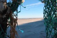 Strandgut